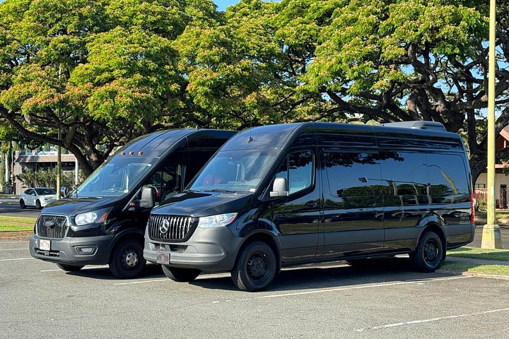 Honolulu Private Transfer: Airport, Port, Hotel, 1 to 12 Passengers, photo 10 of 10