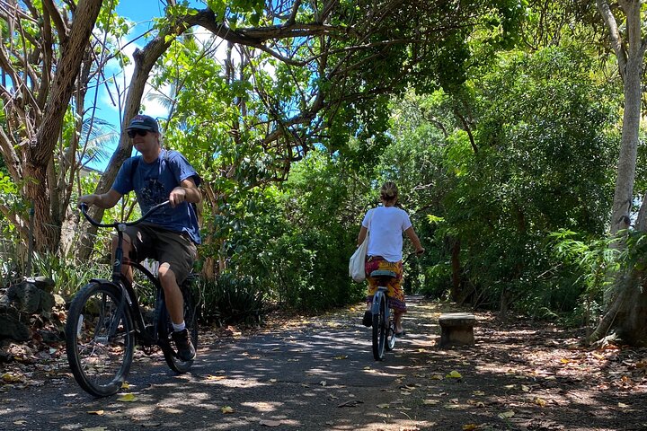 Oahu North Shore Fun: Waimea Waterfall and Turtle Snorkeling, photo 10 of 10