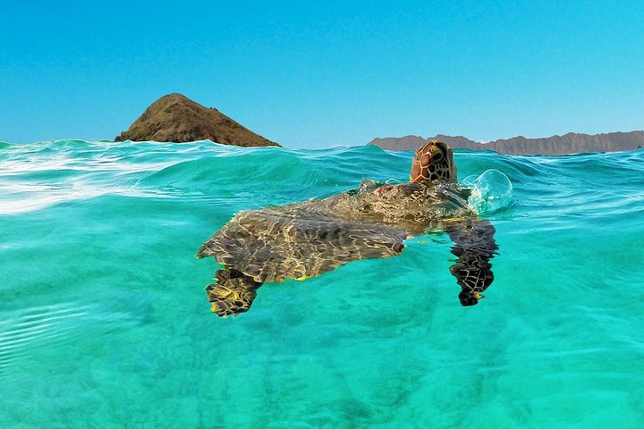 Kailua Bay, Oahu: Kayak and Snorkel to the Islands, photo 7 of 10