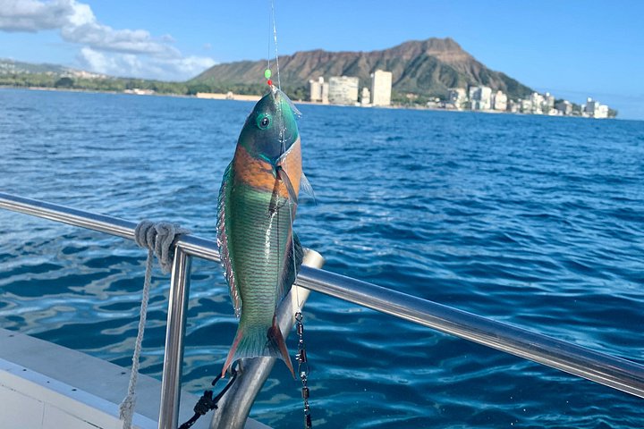Private Fishing Charter for Family and Friends in Honolulu, photo 4 of 10
