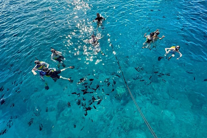 Waikiki: Small Group Turtle Canyon Snorkel Boat Tour, photo 5 of 10