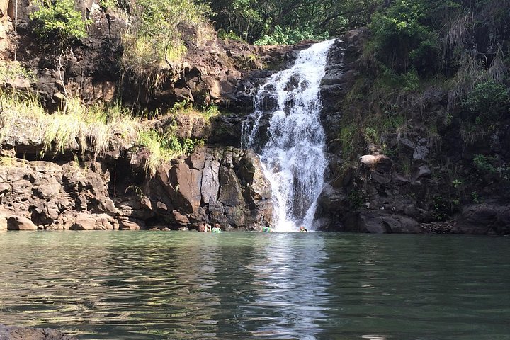 Oahu Majestic Circle Island Tour with Waimea Falls and Byodo-In, photo 8 of 10