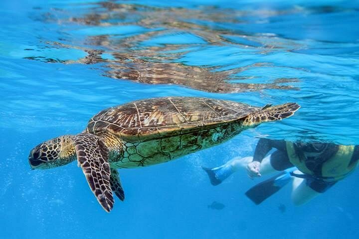 Ko Olina Catamaran Sail and Snorkel with Lunch, photo 3 of 10