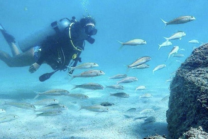 Beginner Scuba Diving Tour in Honolulu with Free Videos, photo 5 of 10