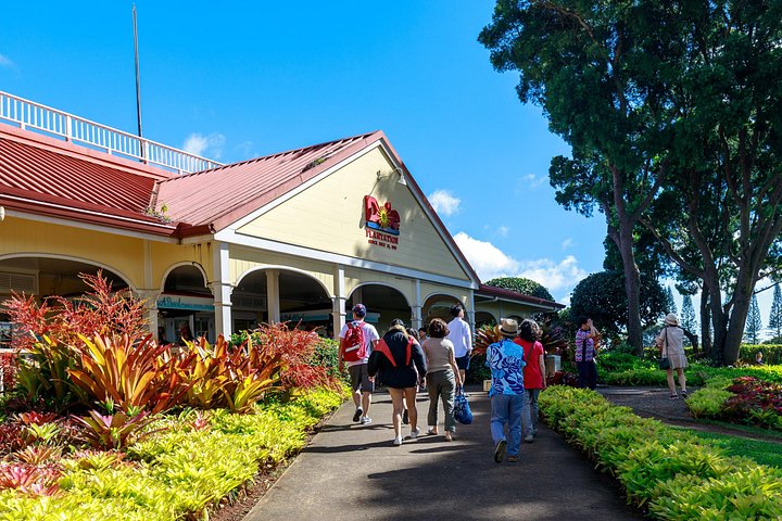 Small-Group Oahu Circle Island Tour with Professional Photography, photo 6 of 10