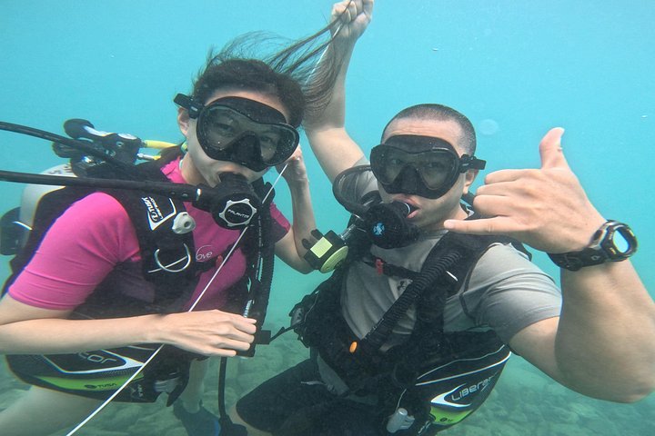 Beginner Scuba Diving Experience with Video Package in Honolulu, photo 9 of 10