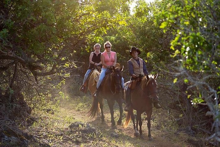 Oahu Sunset Horseback Ride on the North Shore, photo 5 of 6