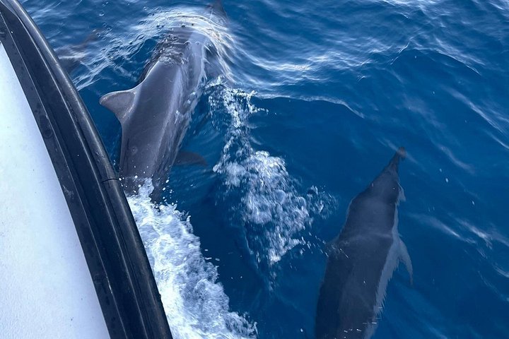 Private Fishing Charter for Family and Friends in Honolulu, photo 9 of 10