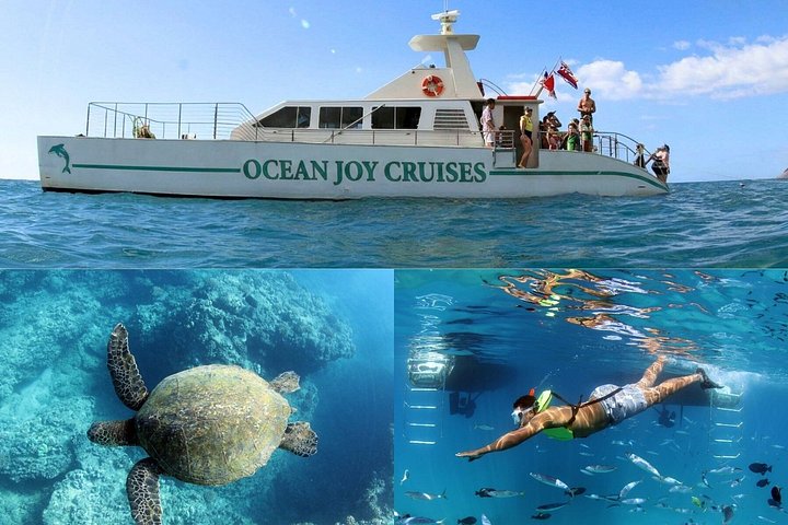Luxury Snorkel Cruise with Dolphin Watch and Hawaiian Meal, photo 9 of 10
