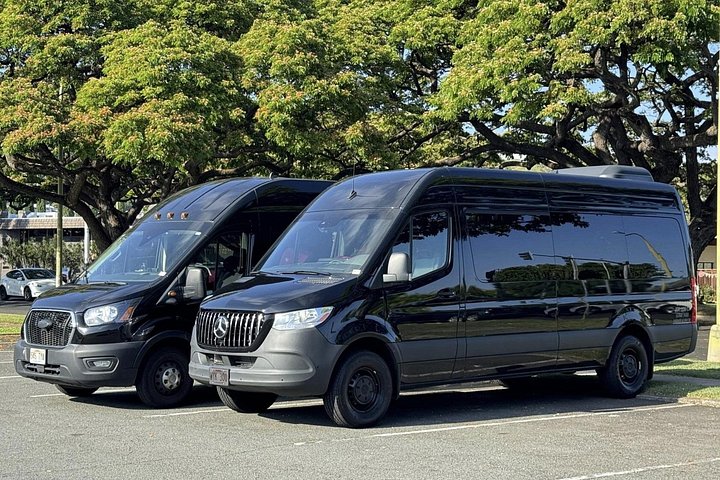 Honolulu Business Airport Transfer to or from a Hotel or the Cruise Port, photo 3 of 7