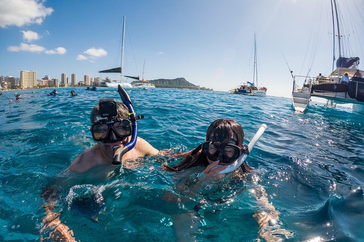 Moana Waikiki Grand Guided Turtle Snorkel and Sailing Adventure, photo 7 of 10