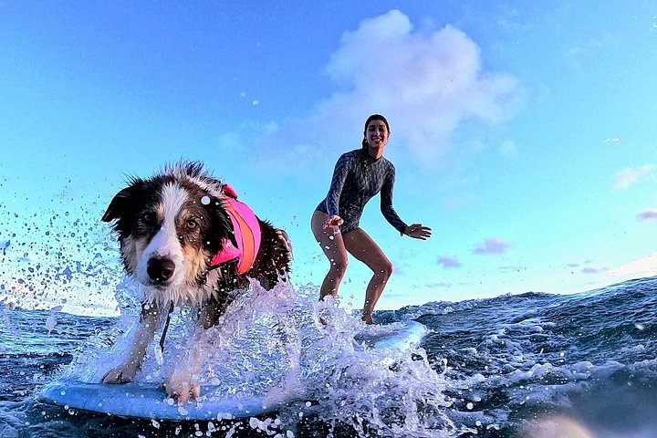 Private 1-on-1 Surf Lesson with Videos and Photos, photo 2 of 10