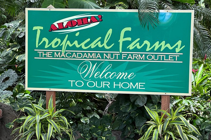 Oahu Circle Island Tour by Fil-Am Travel and Tours, photo 7 of 10