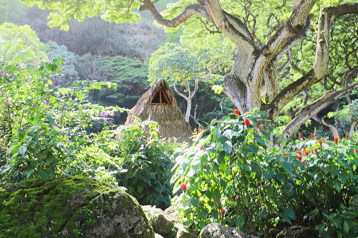 Waimea Valley Waterfall Swim and Dole Plantation Tour with Lunch, photo 7 of 10