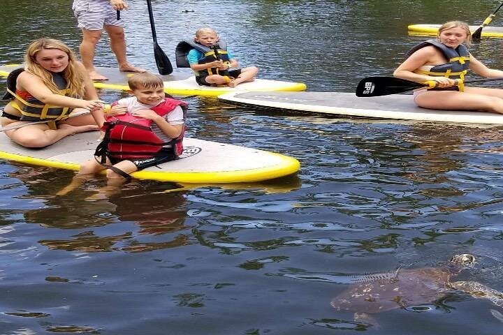 Kevo's Beach Bus Paddleboard and Snorkel Adventure, North Shore, photo 9 of 10
