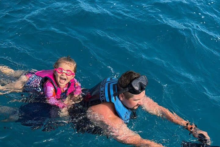 Waikiki Turtle Snorkeling and 6-in-1 Adventure with Free Pickup, photo 6 of 10