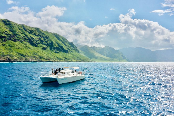 Oahu: Swim with Dolphins on the West Coast, photo 3 of 8