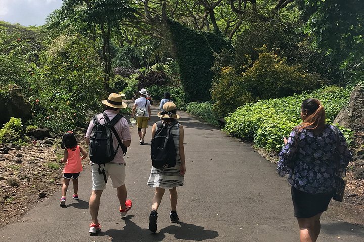 North Shore and Waimea Falls Day with a Turtle Swim, photo 2 of 10