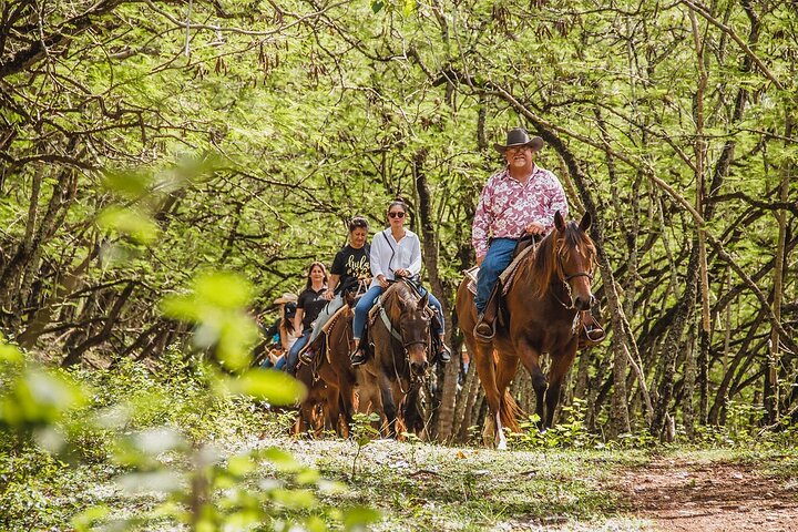 Horseback Ride Like an Authentic Paniolo in Kahuku, photo 4 of 7