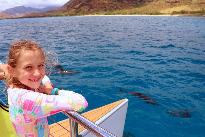 Luxury Snorkel Cruise with Dolphin Watch and Hawaiian Meal, photo 8 of 10