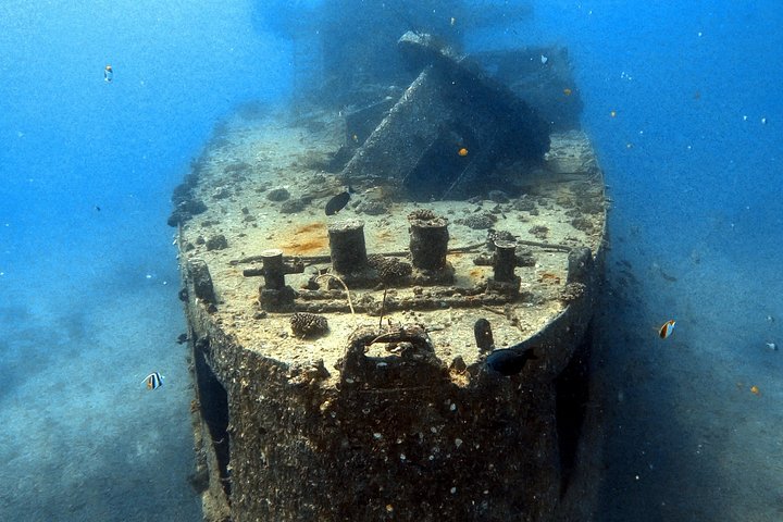 Certified Diver: 2-Tank Deep Wreck and Shallow Reef Dive off Oahu, photo 8 of 10