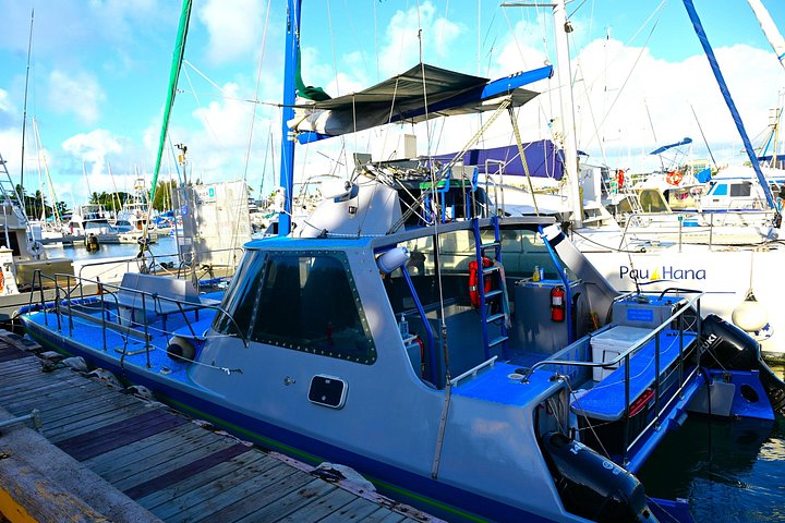 Waikiki Sunset Sail on a 40-Foot Catamaran: Food and BYOB, photo 10 of 10