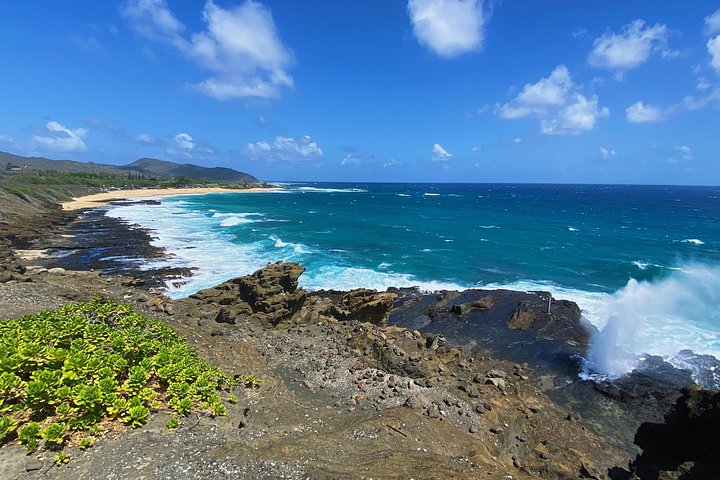 Diamond Head Hiking And Oahu Circle Island Tour Feat. North Shore, photo 9 of 10