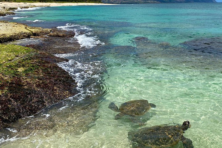 Oahu North Shore Fun: Waimea Waterfall and Turtle Snorkeling, photo 3 of 10