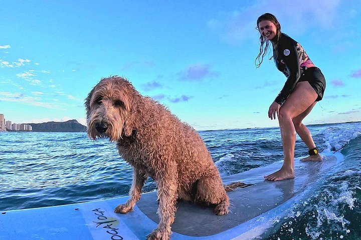 Private 1-on-1 Surf Lesson with Videos and Photos, photo 10 of 10