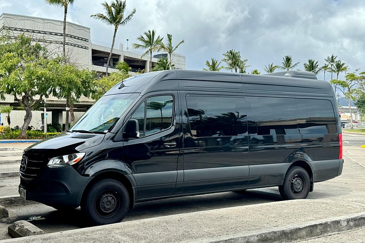 Honolulu Private Transfer: Airport, Port, Hotel, 1 to 12 Passengers, photo 2 of 10
