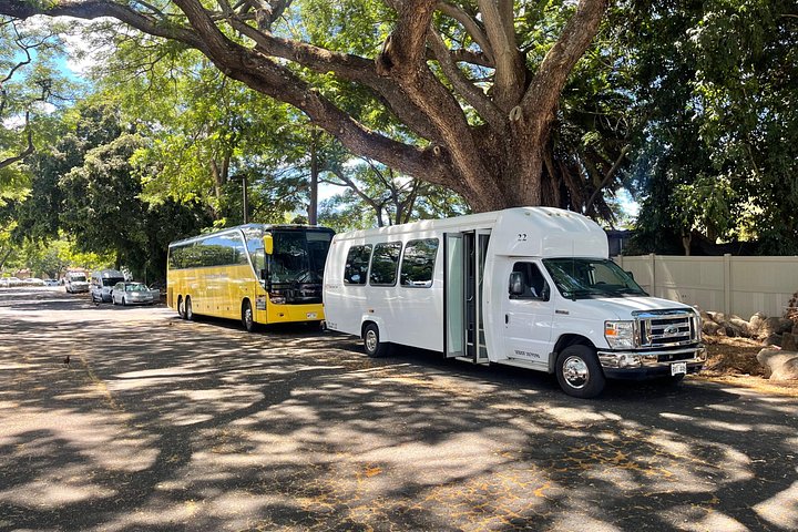 Oahu Circle Island Tour by Fil-Am Travel and Tours, photo 5 of 10