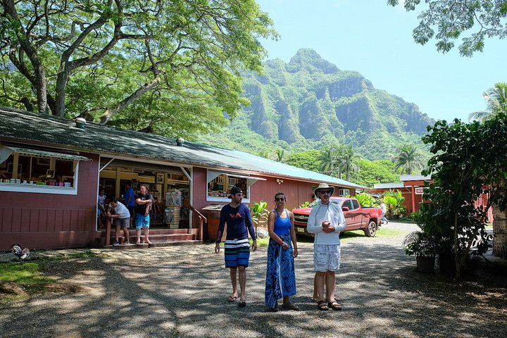 Oahu Circle Island Tour with Waimea Valley Waterfall, photo 7 of 10