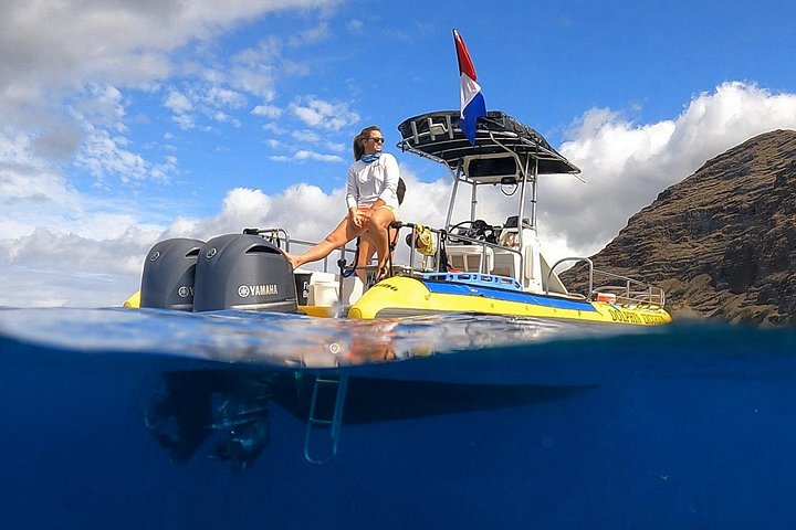 Wild Dolphin Watching and Snorkel Safari off the West Coast of Oahu, photo 2 of 10