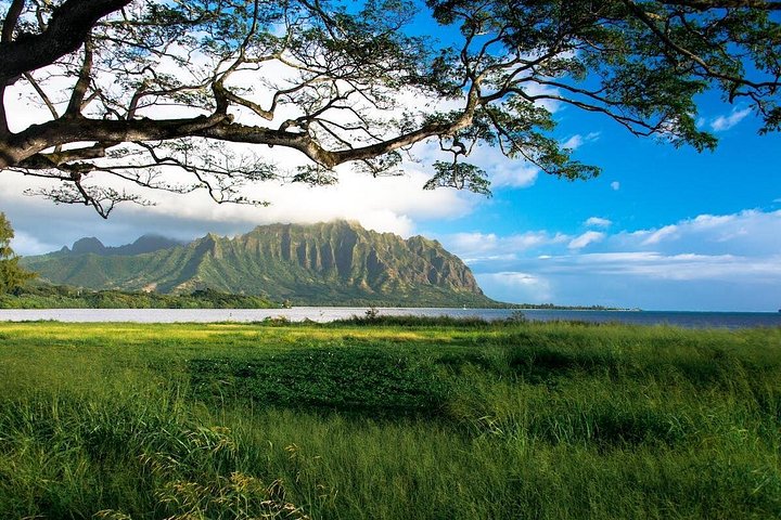 Oahu Sunrise and Circle Island Adventure, photo 10 of 10