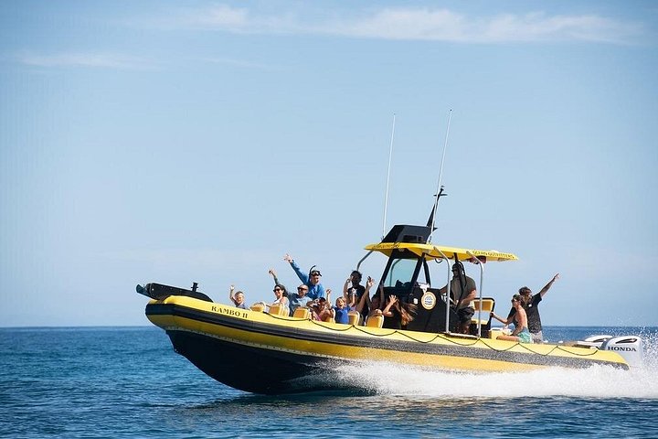 Shark-Dive Tour on Oahu's North Shore, photo 3 of 10
