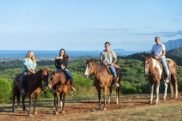 Horseback Ride Like an Authentic Paniolo in Kahuku, photo 2 of 7