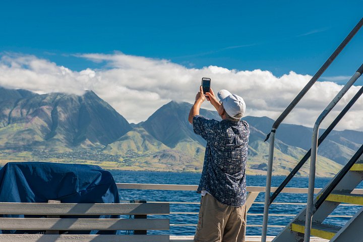 Oahu: 2-Hour Whale Watch from Ala Wai Harbor, Waikiki, photo 6 of 10