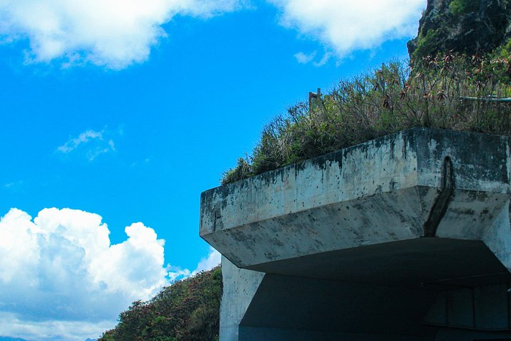 Kualoa Ranch Jurassic Adventure Tour, photo 8 of 10