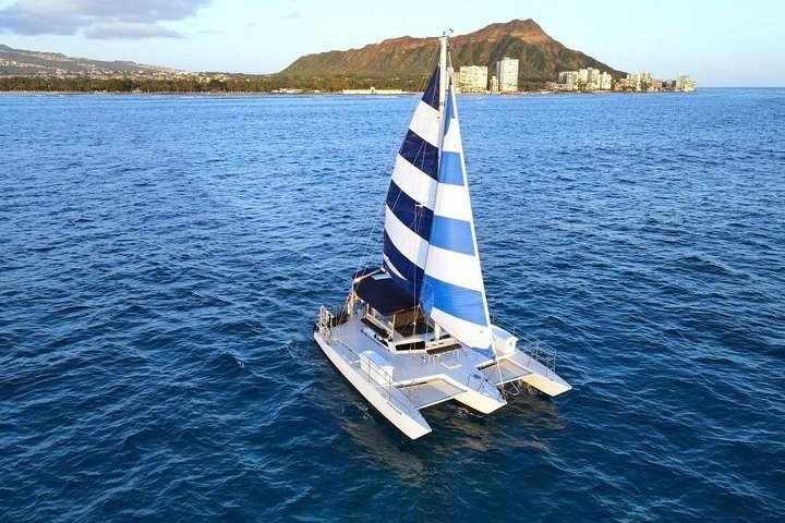 Waikiki Best Whale Watching in Honolulu: Whales Guaranteed, photo 2 of 10