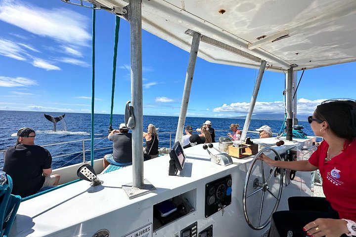 Waikiki: 2 Hour Whale Watching Cruise from Oahu, photo 2 of 10