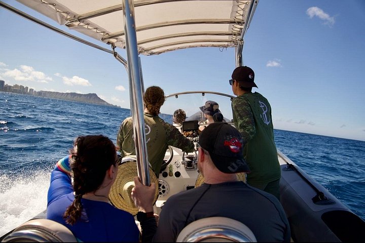 Turtle Canyon Snorkel: Semi Private Boat Tour, photo 3 of 10