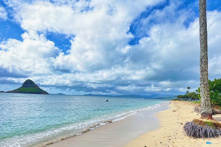 Oahu Small-Group Circle Island Tour: North Shore and Local Food, photo 8 of 10