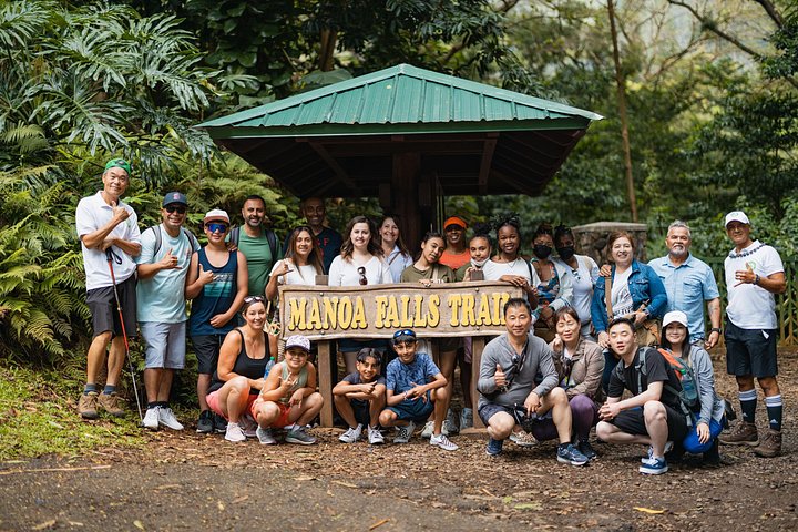 Manoa Waterfall Hike with Waikiki Pickup and Healthy Lunch, photo 8 of 10