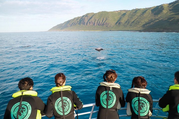 Oahu Dolphin and Snorkel Tour with Waikiki Pickup and Lunch, photo 4 of 10