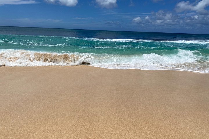 Oahu Small-Group Circle Island Tour: North Shore and Local Food, photo 6 of 10