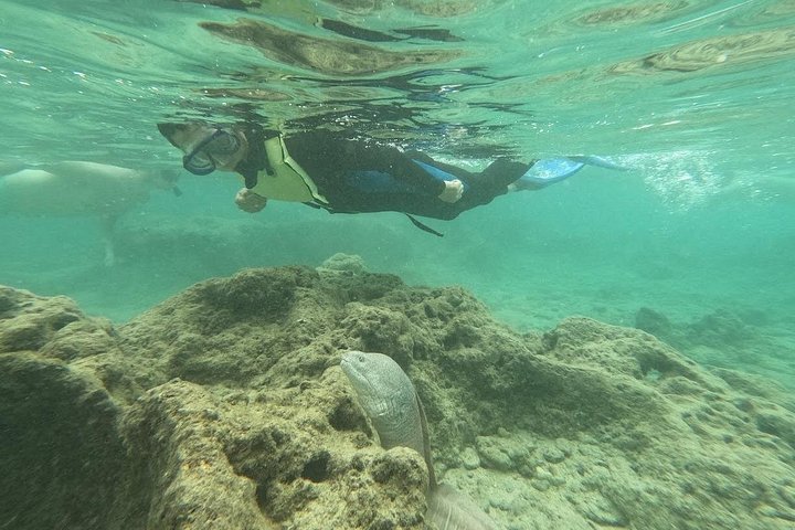 Hanauma Bay Guided Snorkeling Tour with Transportation, photo 10 of 10