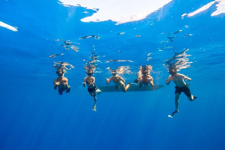 Swim With Dolphins and Turtles in West Oahu (Semi-Private Tours), photo 10 of 10