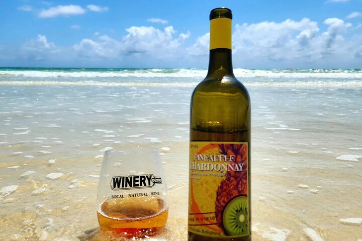 Winery Oeno Island Style Wine Tasting, photo 8 of 10