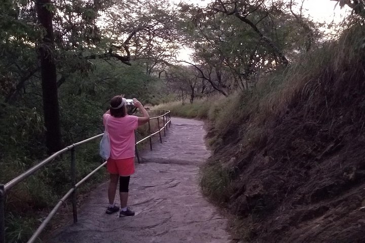 Diamond Head Hiking Tour with Tickets and Shuttle Included, photo 4 of 10