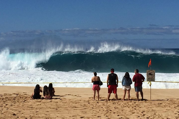 Ko Olina to the North Shore: Waimea Falls and Dole, photo 8 of 8